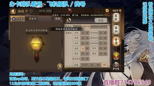 对萌新最友好的直播间 2019-11-19 21点场