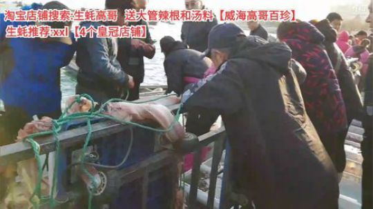 科头溜子发布了一个斗鱼视频2019-11-20