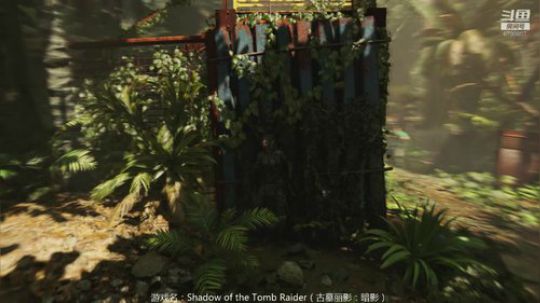 暗影 走火入魔 作死日常 2019-11-19 20点场