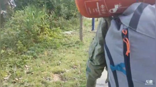 徒步深圳第13天。 2019-11-21 13点场