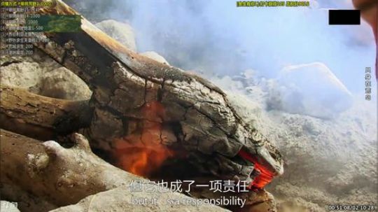 护法惊丶发布了一个斗鱼视频2019-11-21