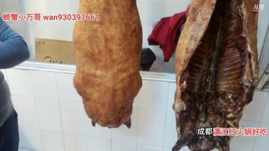 顺德第2天(≧ω≦)/ 2019-11-21 10点场