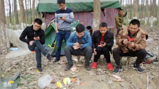 晋级星耀，每时每刻都在上 2019-11-21 11点场