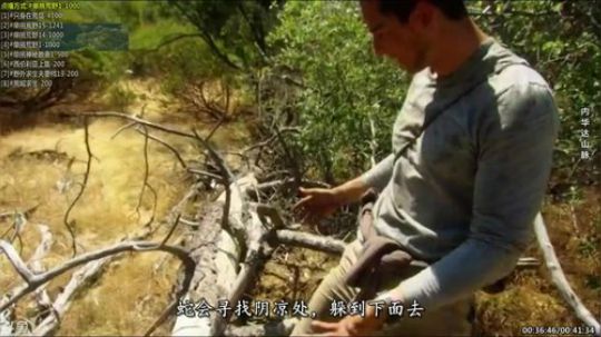 户外遛狗王飞哥发布了一个斗鱼视频2019-11-21