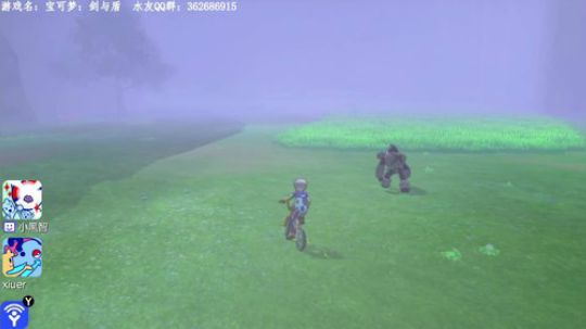 宝可梦剑与盾，开始抓 闪！ 2019-11-21 02点场