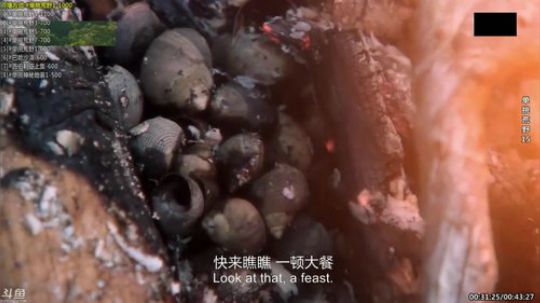 护法惊丶发布了一个斗鱼视频2019-11-22