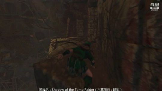 暗影 走火入魔 作死日常 2019-11-21 18点场