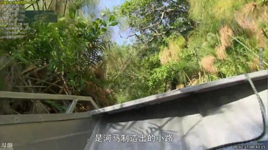 户外遛狗王飞哥发布了一个斗鱼视频2019-11-22