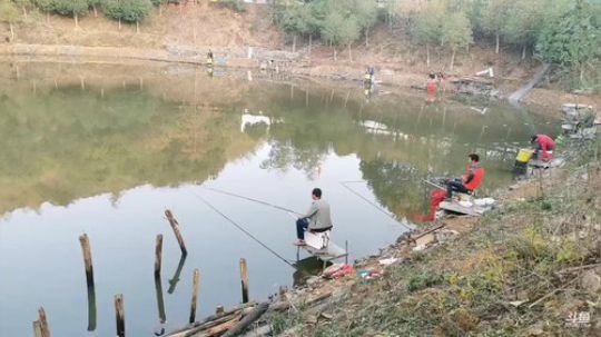 今天玩鲫鱼坑 2019-11-22 07点场