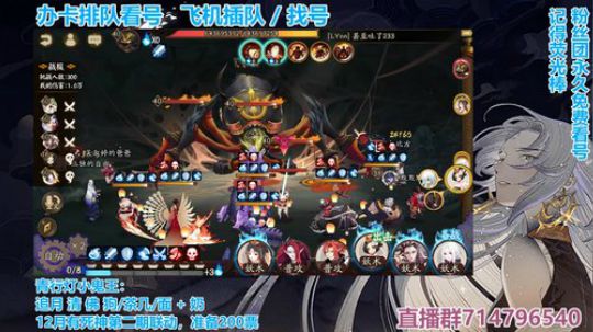 对萌新最友好的直播间 2019-11-20 20点场