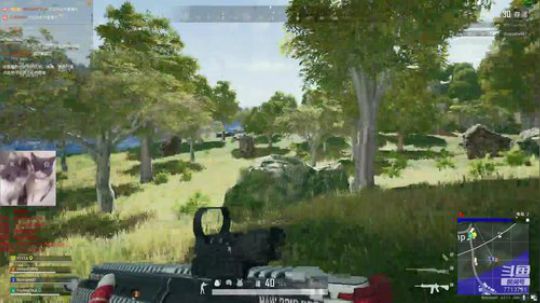 吃会鸡屁股. 2019-11-19 20点场