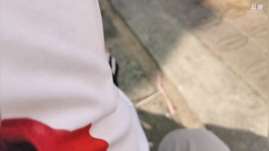 《睿智兄弟》闯越南湄公河 2019-11-23 15点场