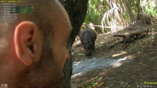 户外遛狗王飞哥发布了一个斗鱼视频2019-11-23