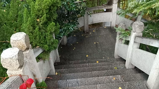 山财大漫步