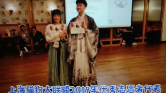上海猫狗大联盟领养宣传活动第15期