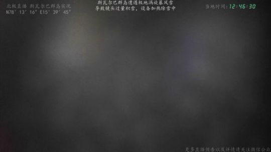 户外遛狗王飞哥发布了一个斗鱼视频2019-11-24