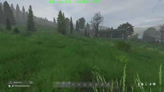 dayz 僵尸末日 2019-11-24 17点场