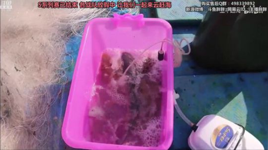 胖胖OB：SKT换血，转会更新中 2019-11-24 02点场