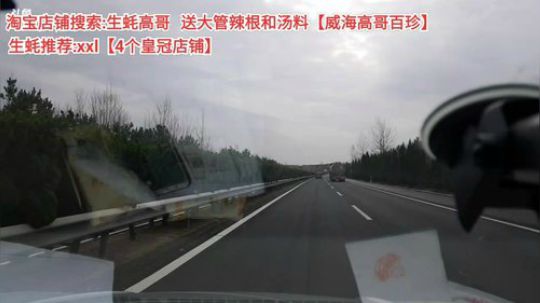 西北老狼哥哥发布了一个斗鱼视频2019-11-24