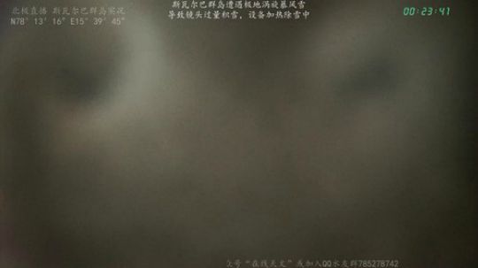 根本阿呆发布了一个斗鱼视频2019-11-25