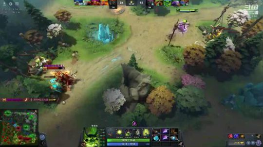 2019年11月24日 20点场  智商下降的骨法+猴子