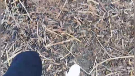 《睿智兄弟》闯越南湄公河农村 2019-11-25 16点场