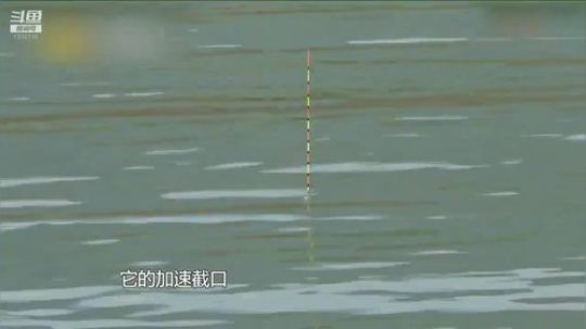 我在斗鱼看贱贱钓鱼直播乡野