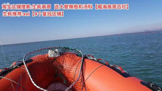 西北老狼哥哥发布了一个斗鱼视频2019-11-26