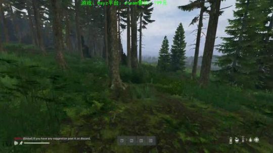 dayz 僵尸末日 2019-11-24 21点场