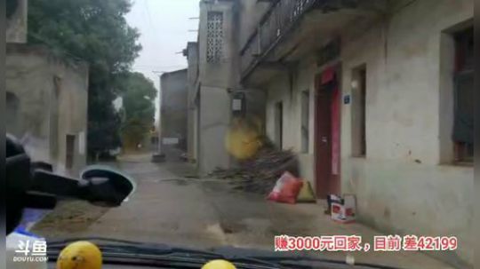 十一郎君01发布了一个斗鱼视频2019-11-26