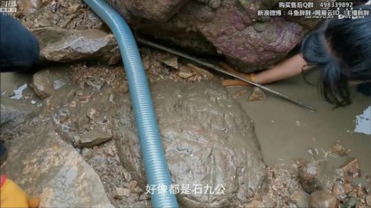 胖胖OB：LGD小花生，转会更新中 2019-11-26 02点场