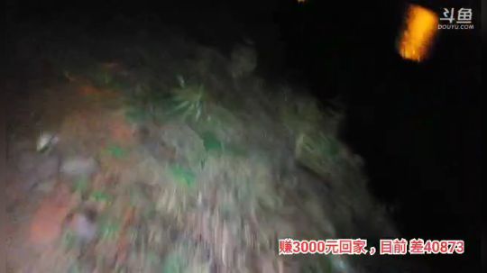 十一郎君01发布了一个斗鱼视频2019-11-27