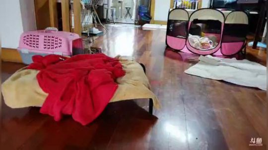 HHHISHHH发布了一个斗鱼视频2019-11-27