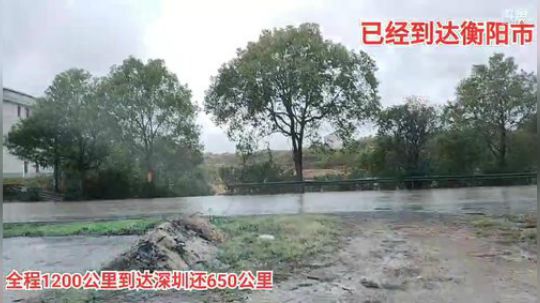 徒步深圳第19天 2019-11-27 13点场