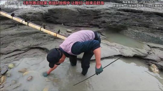 胖胖OB：SKT新上单，黎明阵容？？ 2019-11-27 02点场