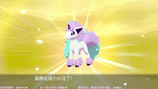 【闪】剑盾 努力抓闪光 2019-11-25 21点场