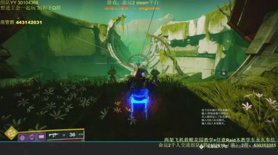 命运2 带任意Raid本~10w分安排！ 2019-11-27 16点场