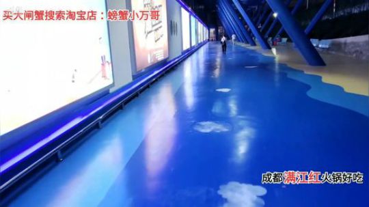 星期四三亚求生(≧ω≦)/ 2019-11-27 21点场