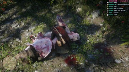 白给少女：荒野大镖客2 2019-11-23 22点场