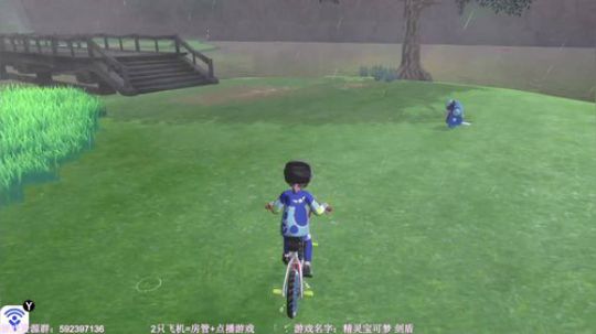 【闪】剑盾 努力抓闪光 2019-11-27 14点场