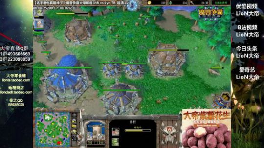 我在斗鱼看大帝LioN直播魔兽争霸