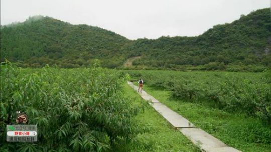 我在斗鱼看野食小哥直播美食