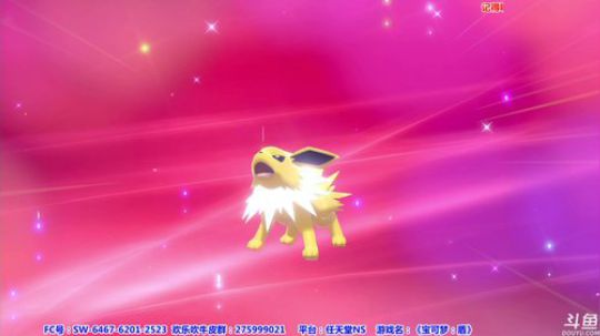 【皮皮】长期宝可梦剑盾！一起Day7 2019-11-20 23点场