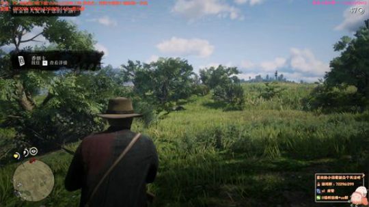 白给少女：荒野大镖客2 2019-11-25 02点场