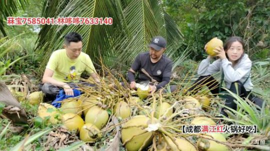 大咖海岸求生记(≧ω≦)/ 2019-11-29 11点场