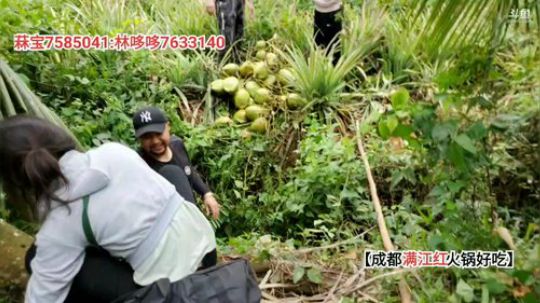 大咖海岸求生记(≧ω≦)/ 2019-11-29 10点场