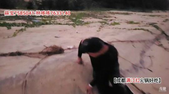 大咖海岸求生记(≧ω≦)/ 2019-11-29 17点场