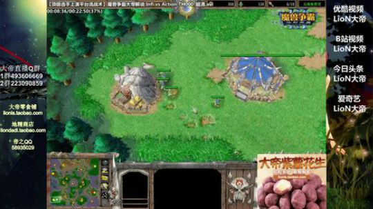我在斗鱼看大帝LioN直播魔兽争霸