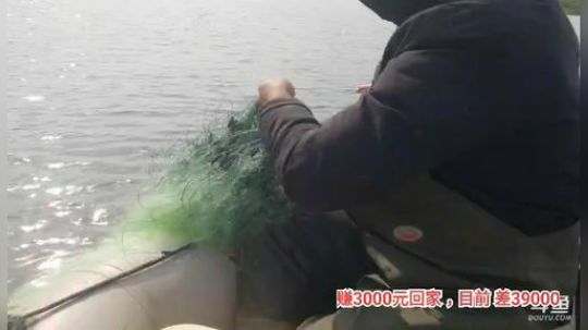 十一郎君01发布了一个斗鱼视频2019-11-29