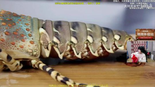 YJJ炮炮 绝地求生！ 2019-11-29 16点场
